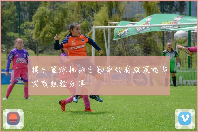 提升篮球机构出勤率的有效策略与实践经验分享