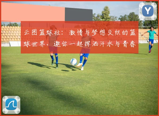 云图篮球社：激情与梦想交织的篮球世界，邀你一起挥洒汗水与青春