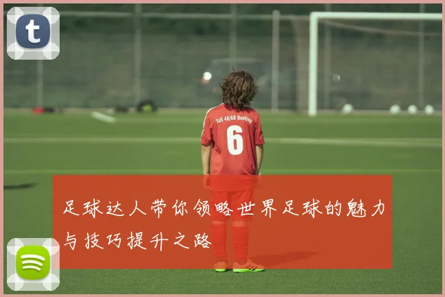 足球达人带你领略世界足球的魅力与技巧提升之路