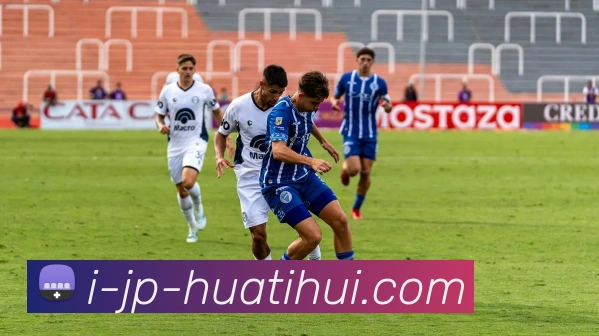 华体会平台生态图